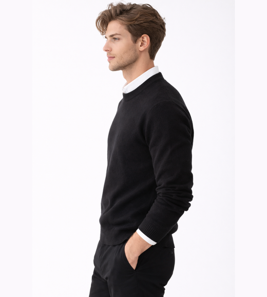 Men's Fine Knit Crewneck Sweater with Regular Fit